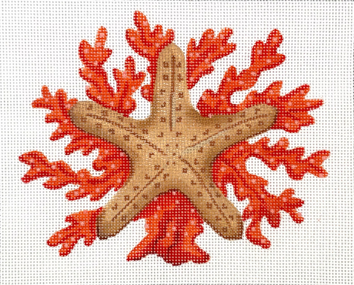 STARFISH W/ CORAL