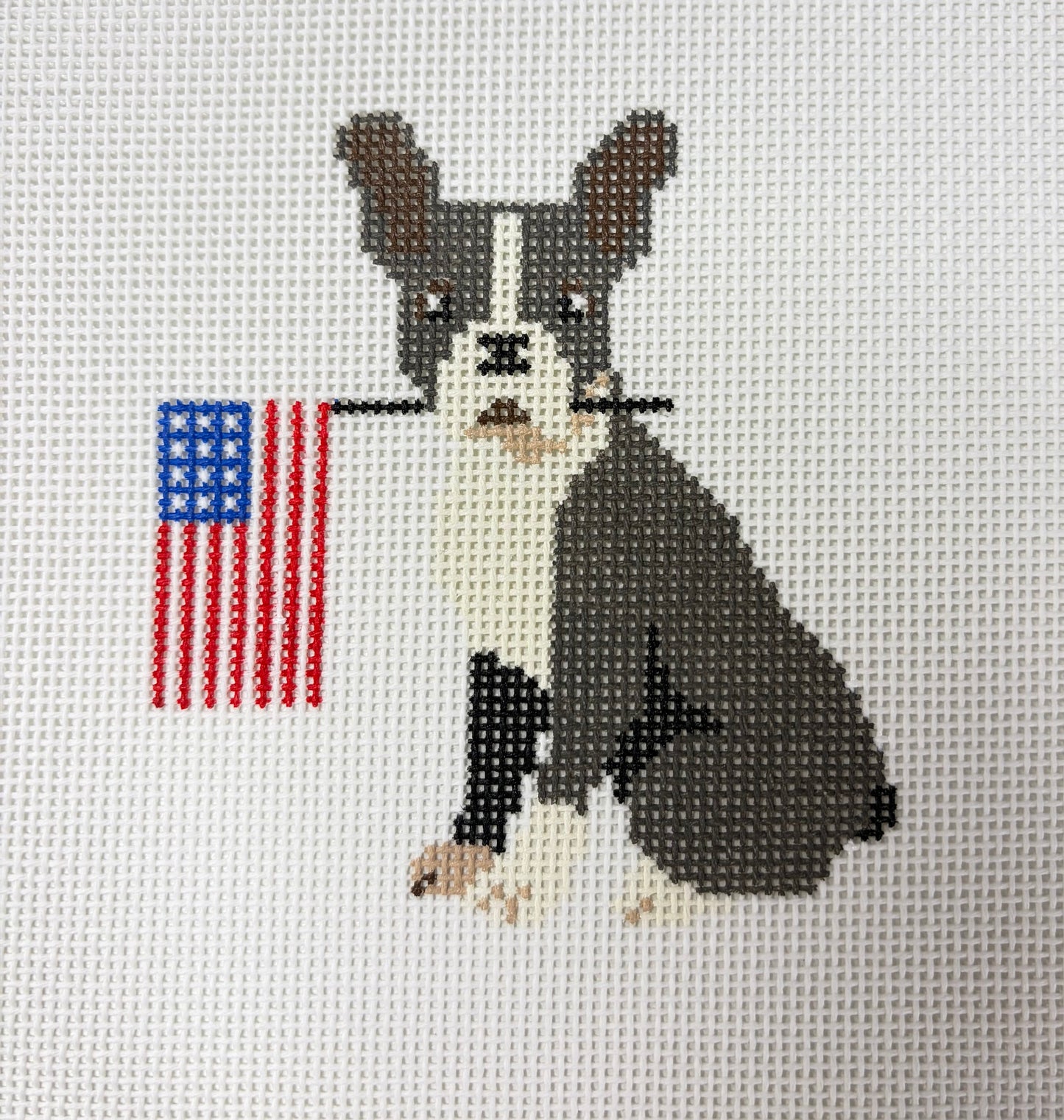 BOSTON TERRIER WITH FLAG