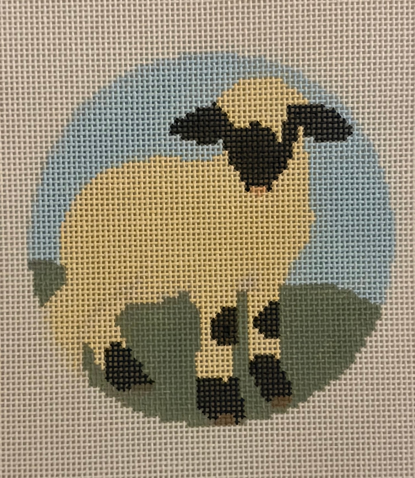 Single Sheep Round