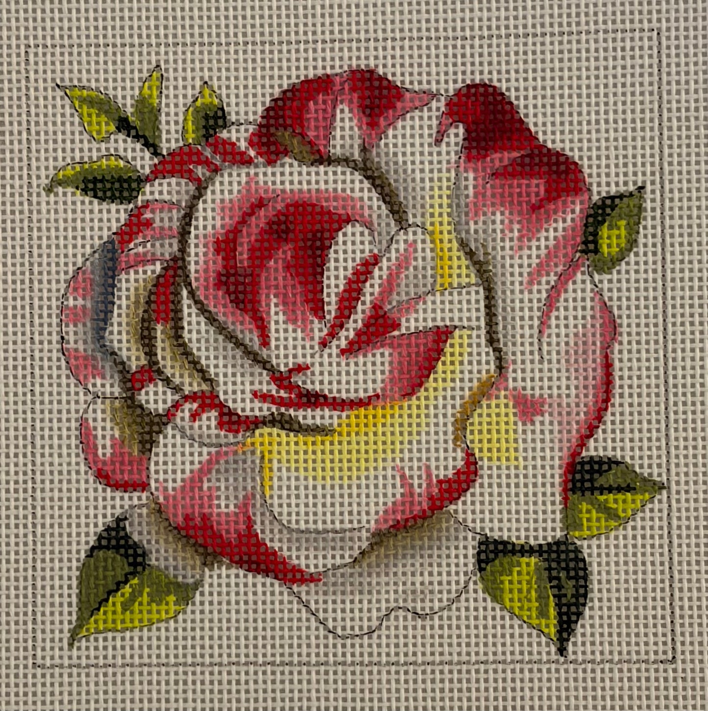 White Rose Flower