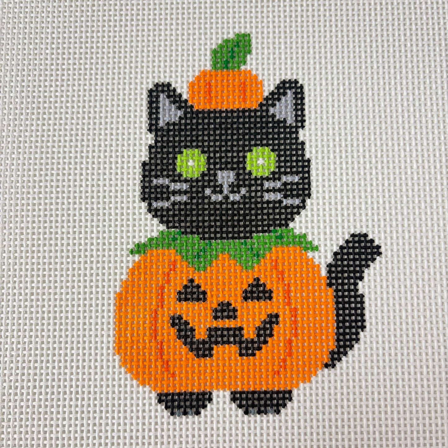 Pumpkin Kitty
