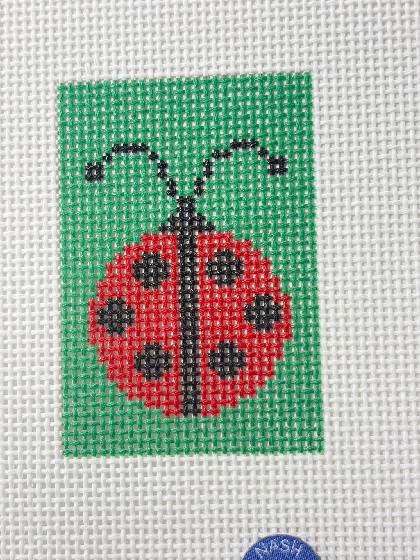 Ladybug