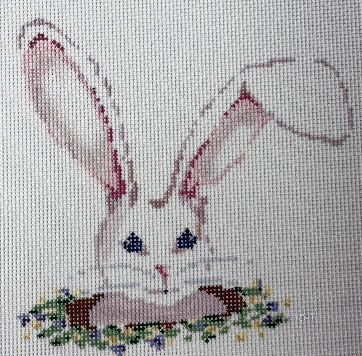 RABBIT HOLE