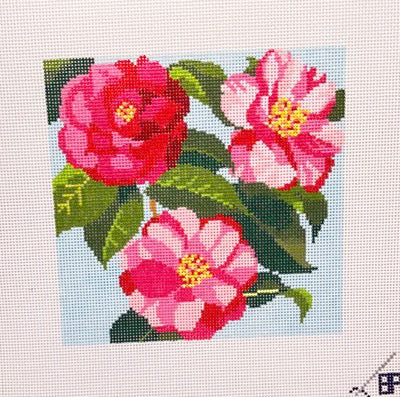 Three Camellias