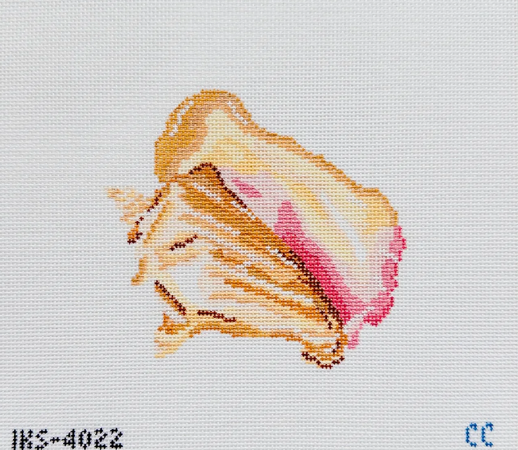 Queen Conch