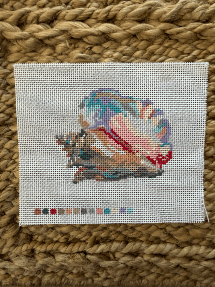 QUEEN CONCH