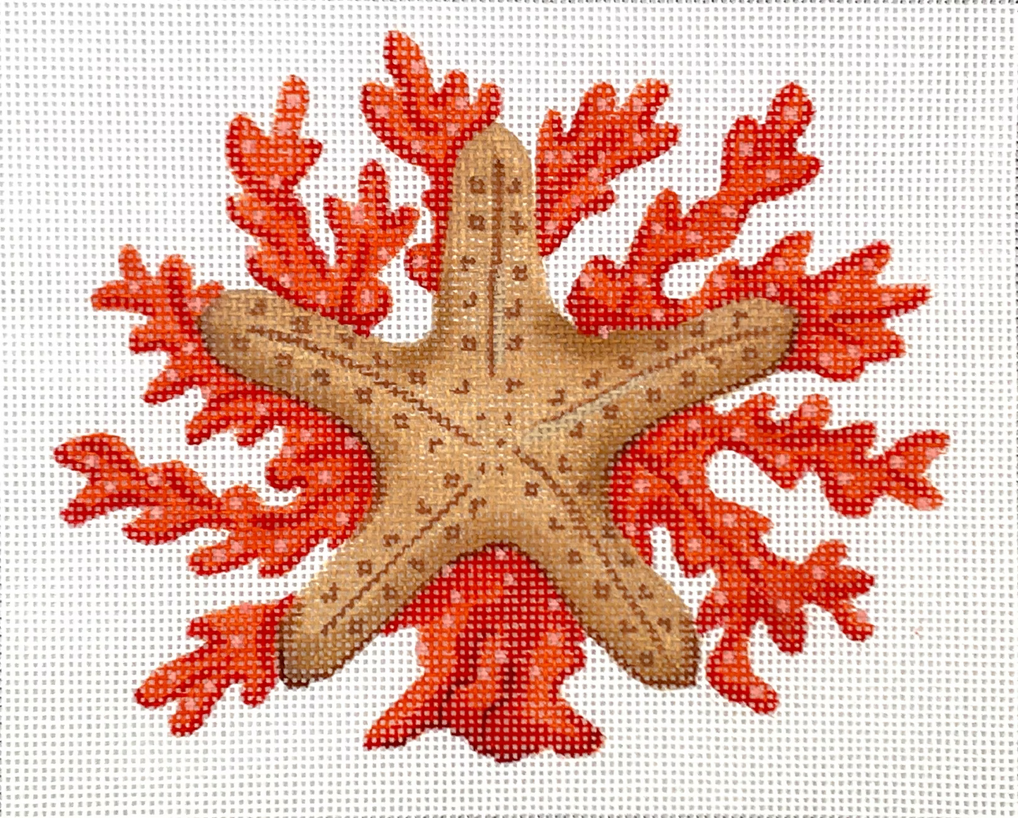 STARFISH W/ CORAL