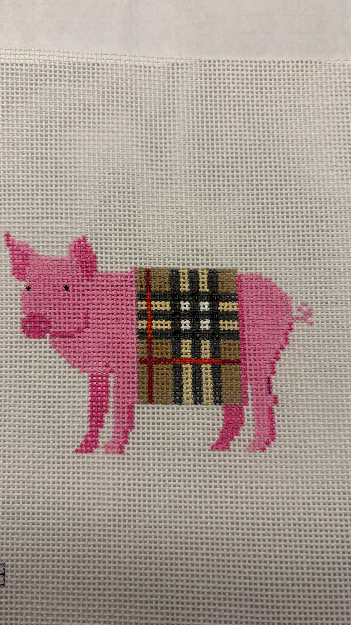 Pig in  "C" Blanket