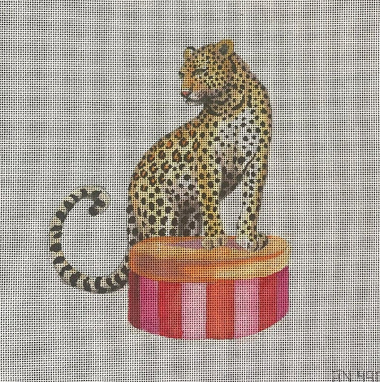 Leopard on Cushion