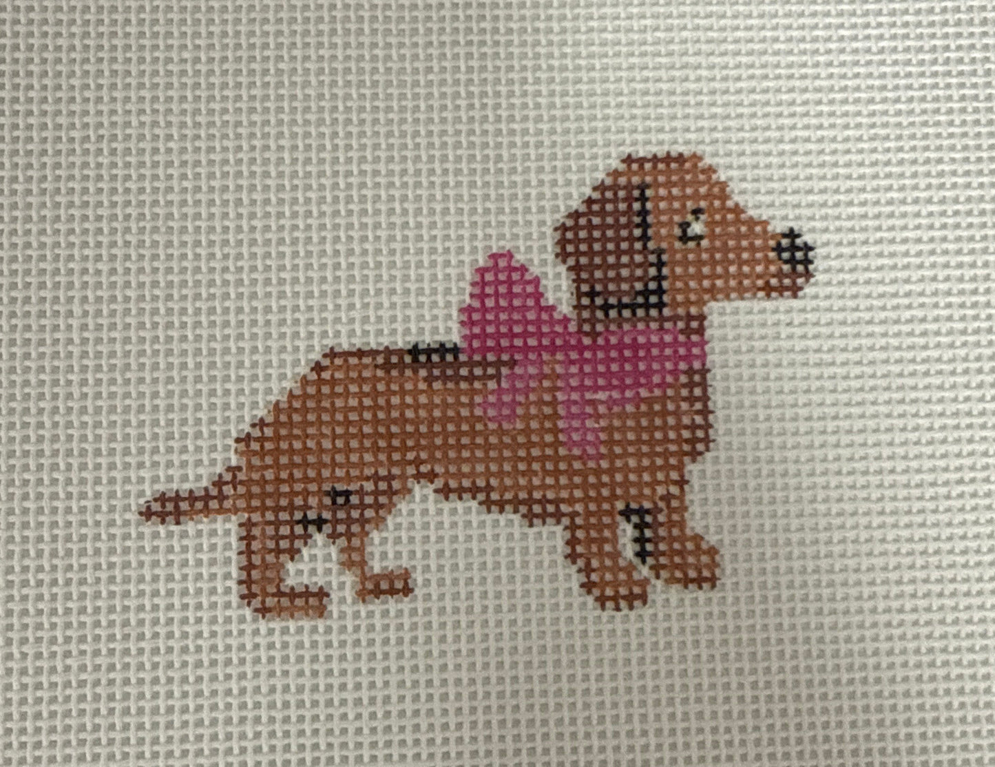 Dachshund
