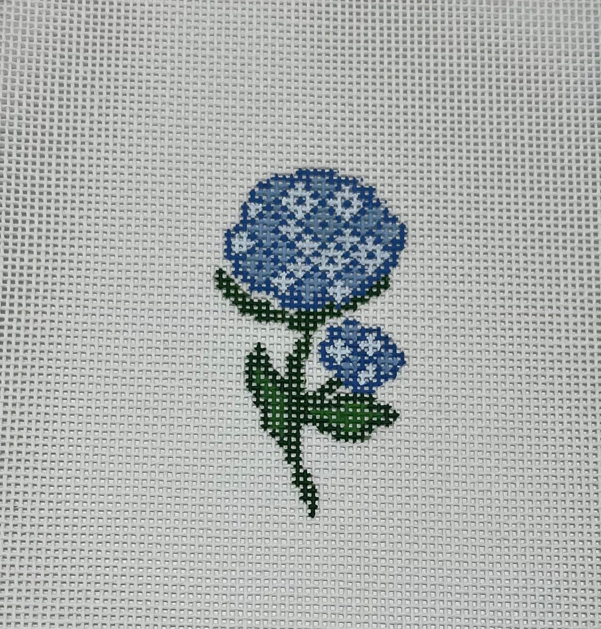 Mini Hydrangeas