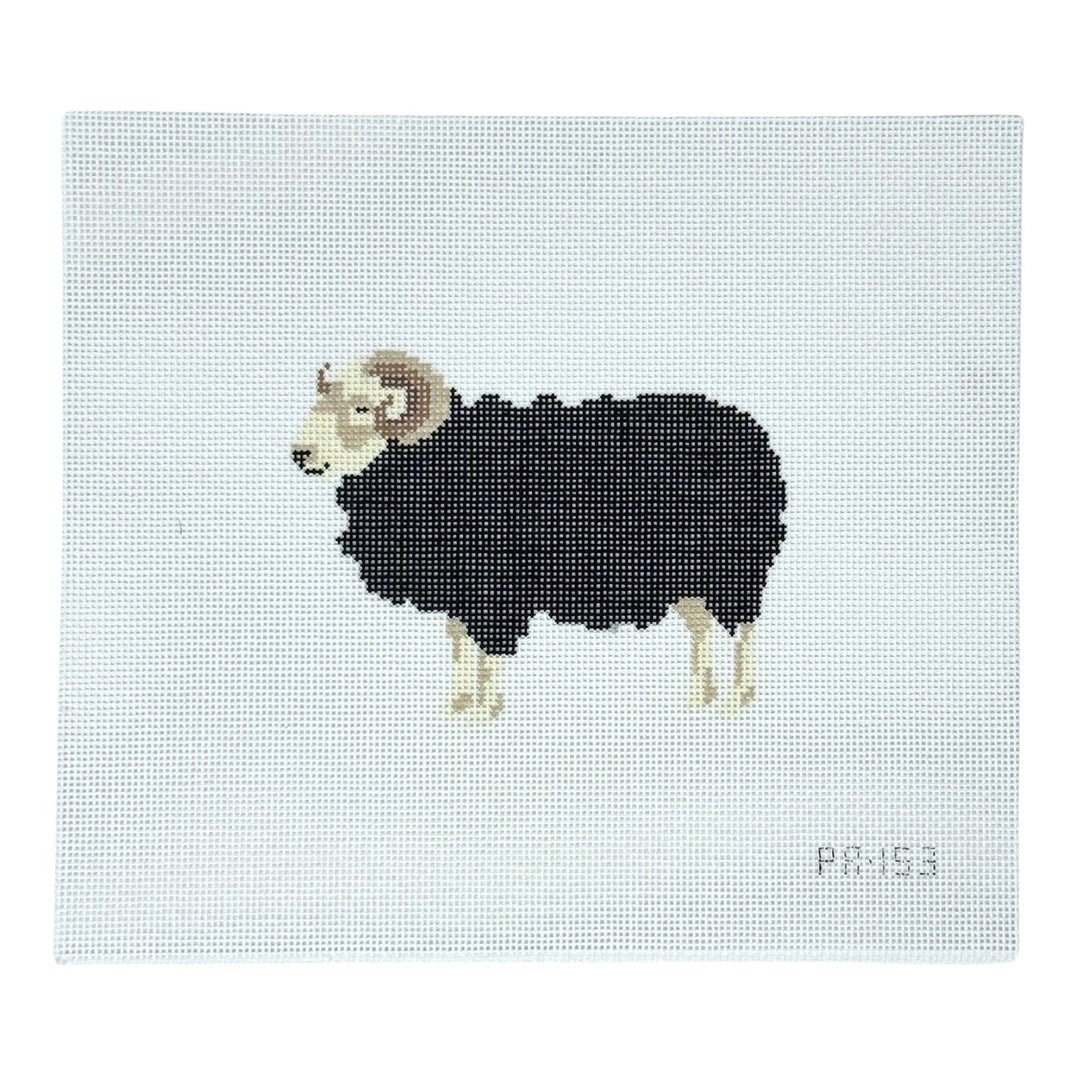 Herdwick Ram