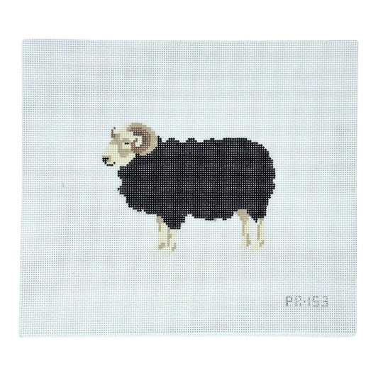 Herdwick Ram