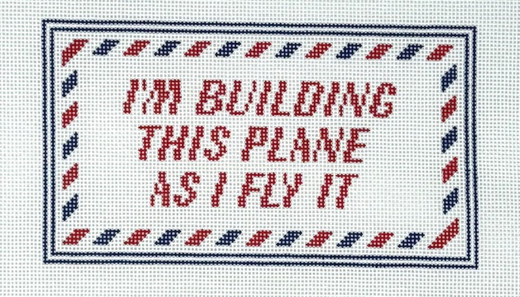 I'm Building This Plane As I Fly It