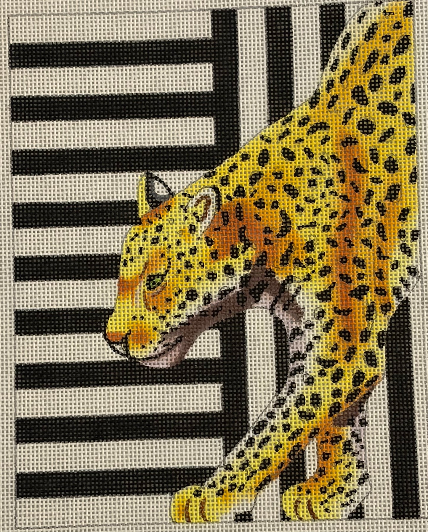 Leopard w/ Black & White Stripes