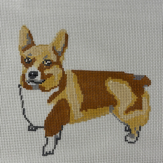 Corgi