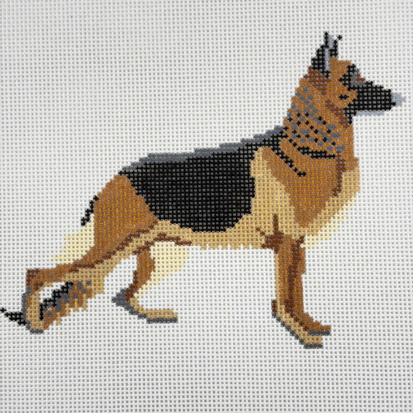 German Shepherd