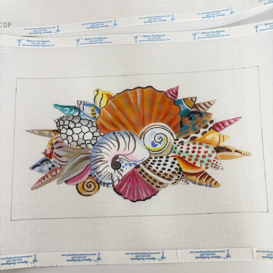 Seashells