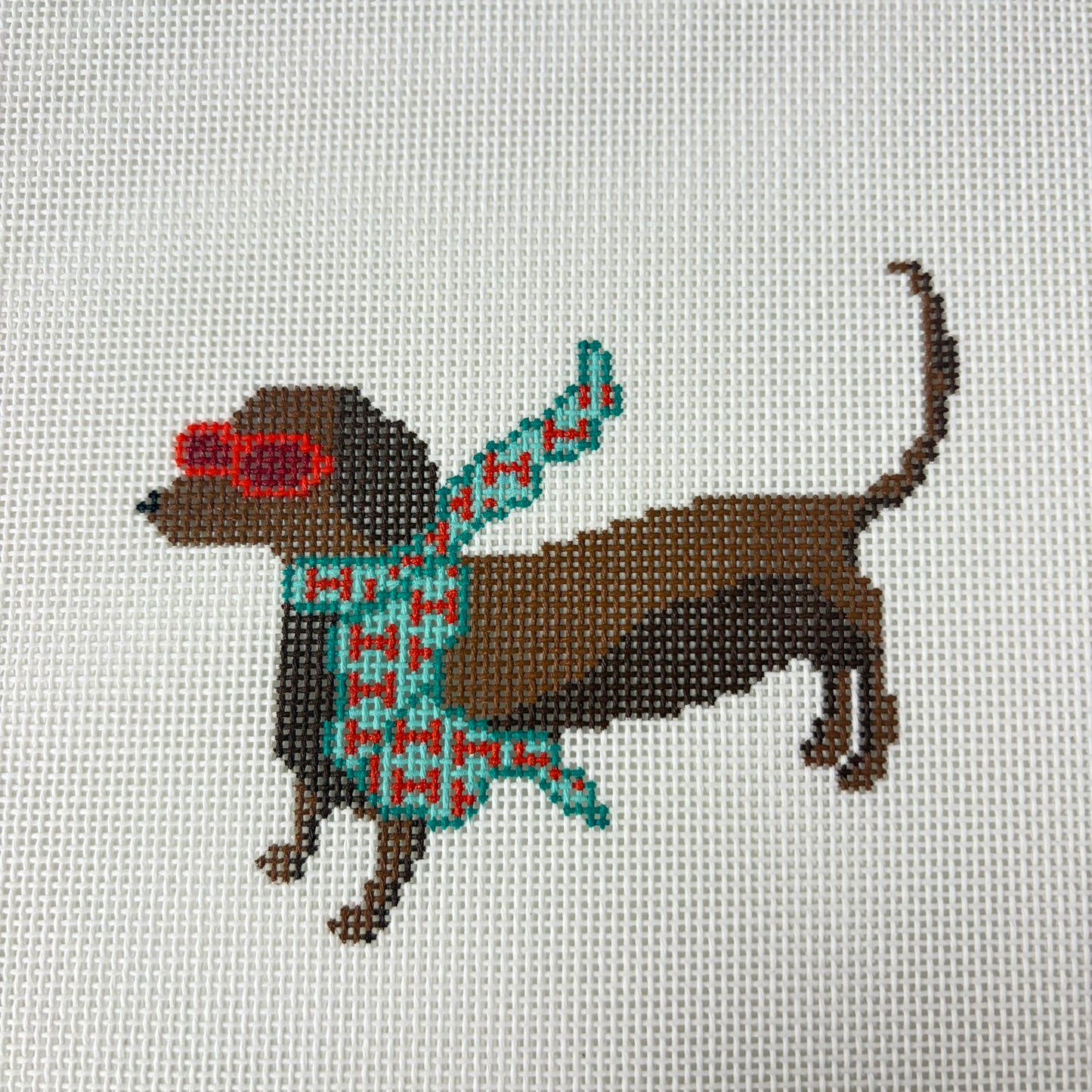 BOUGIE DACHSHUND