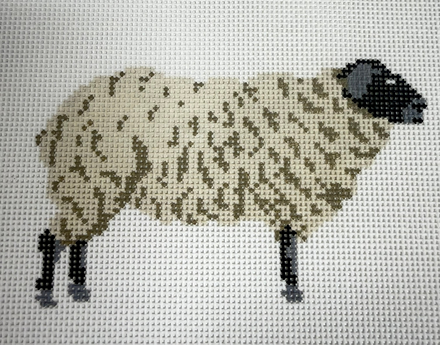 SUFFOLK SHEEP