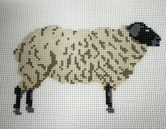 SUFFOLK SHEEP