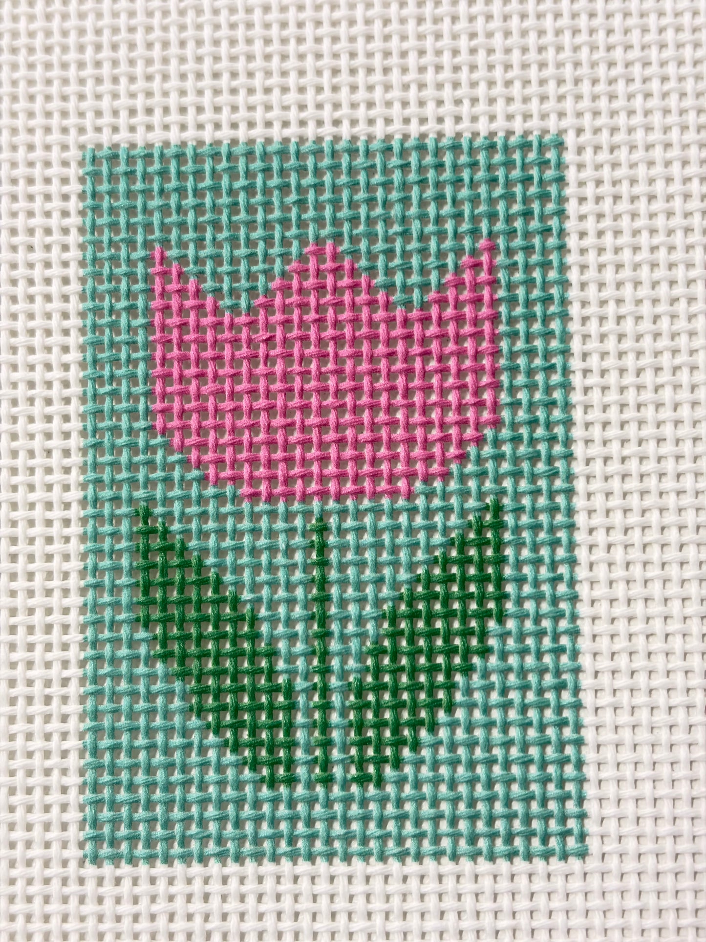 Tulip