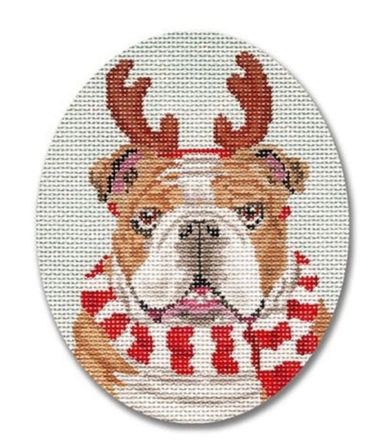 Bulldog with Scarf