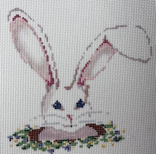 RABBIT HOLE