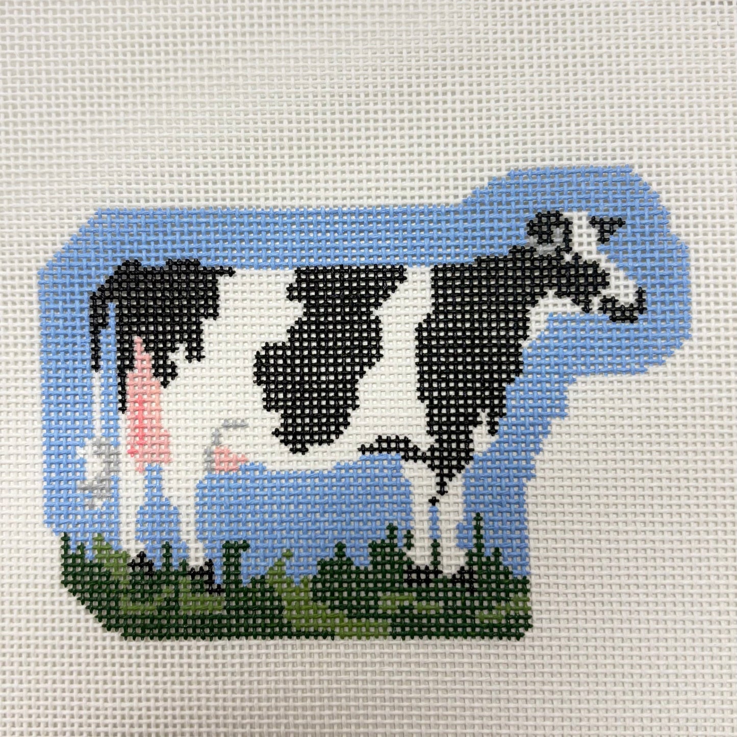 Holstein Cow