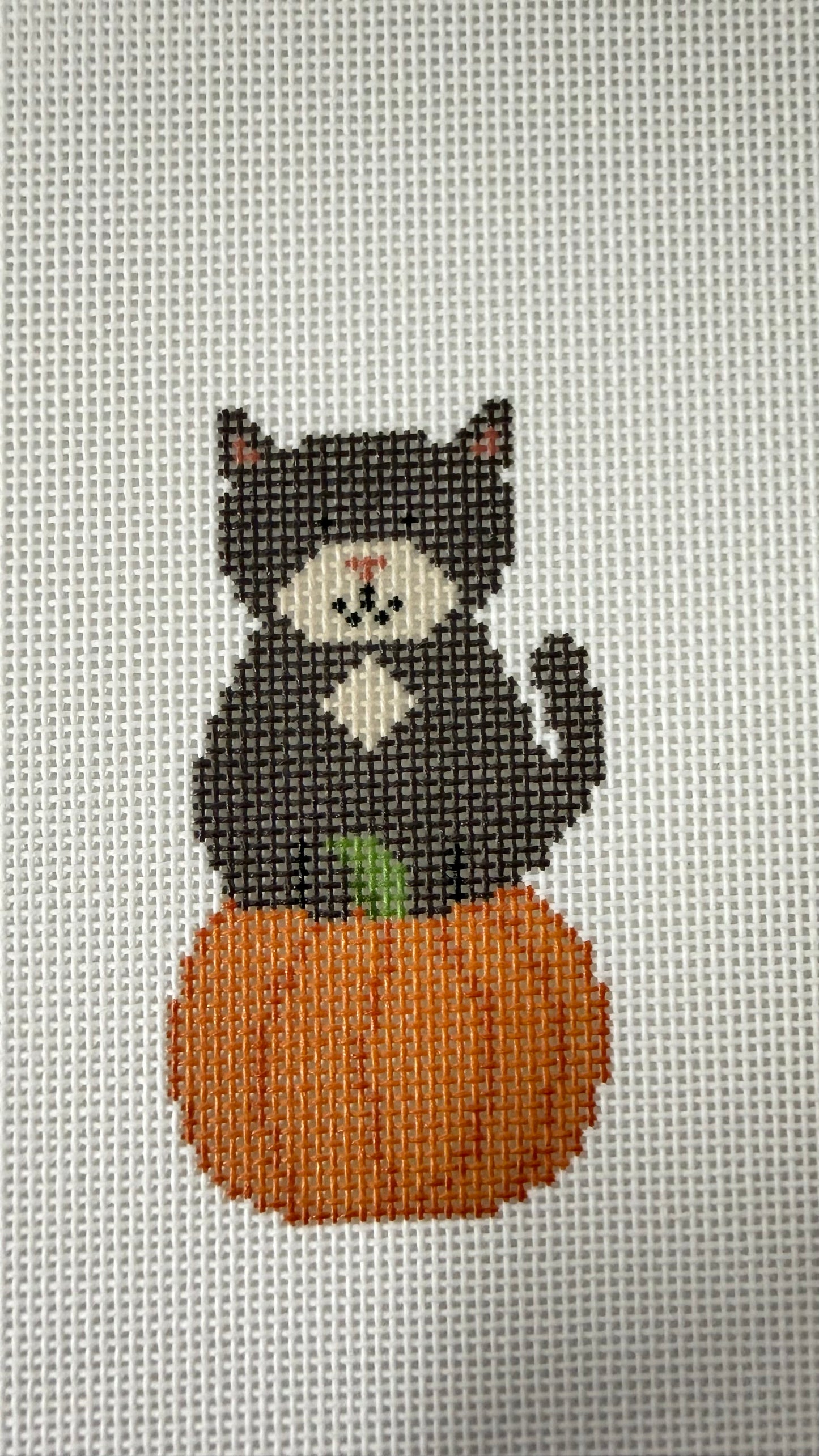 Pumpkin Cat