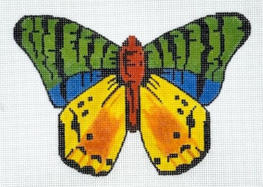 Multi-Color Butterfly