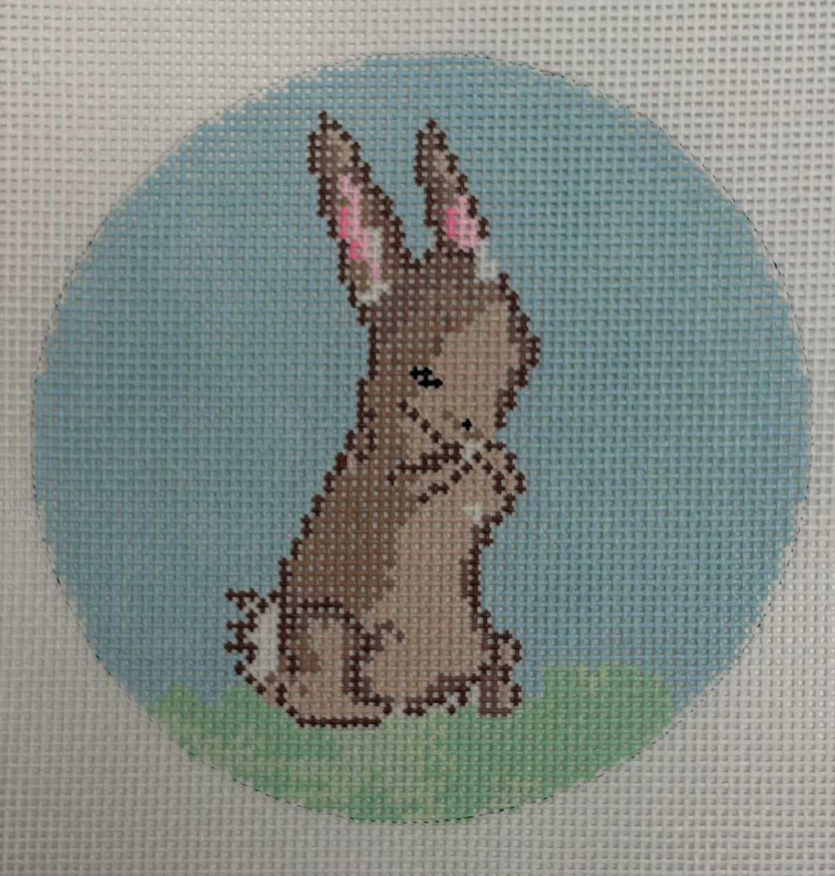 1 Bunny