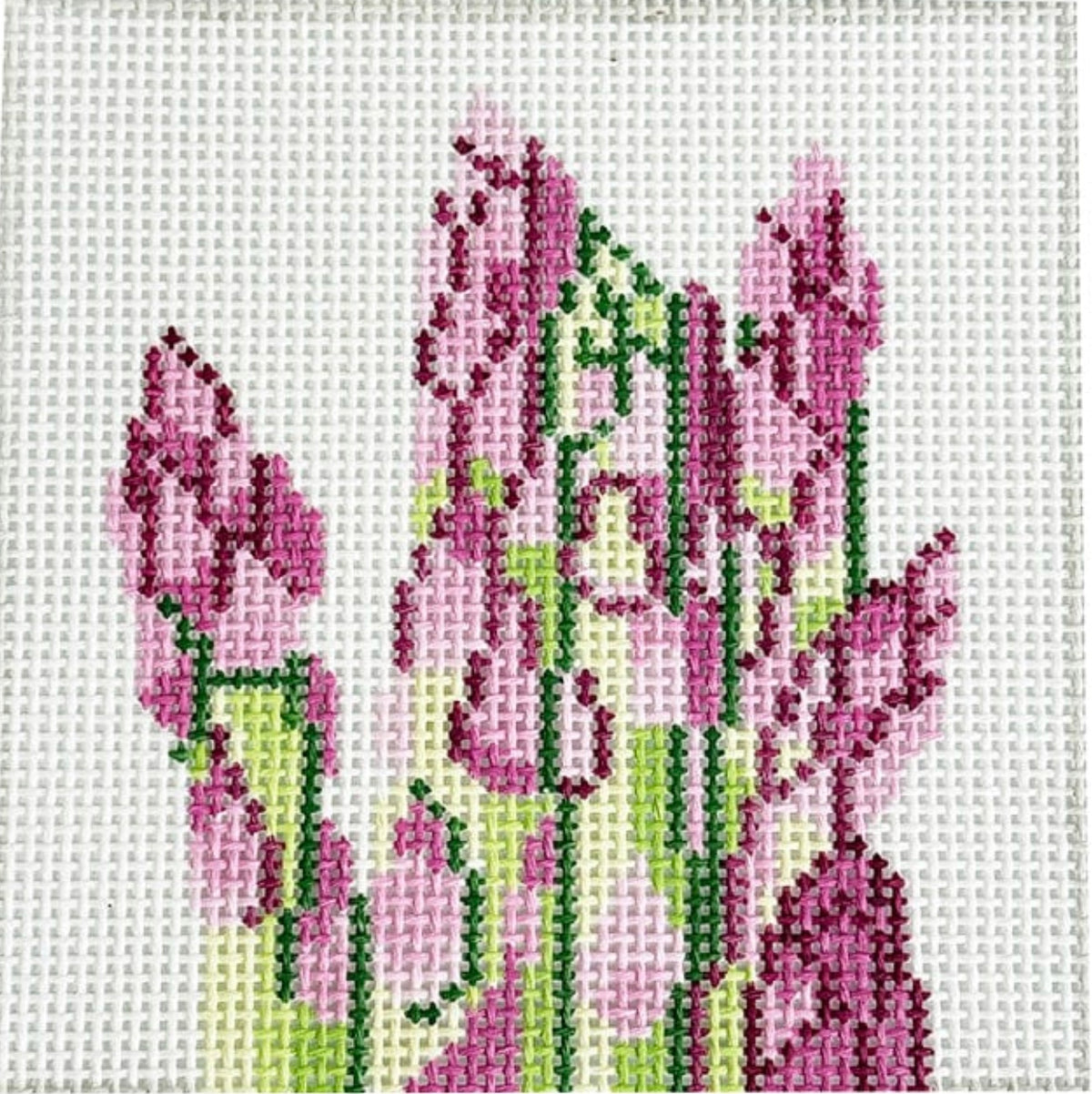 Asparagus (large)
