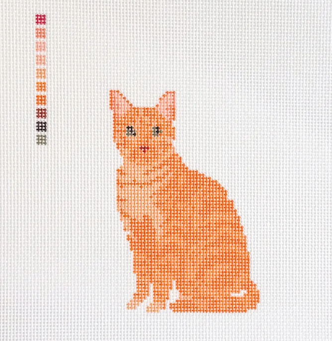 Orange Cat