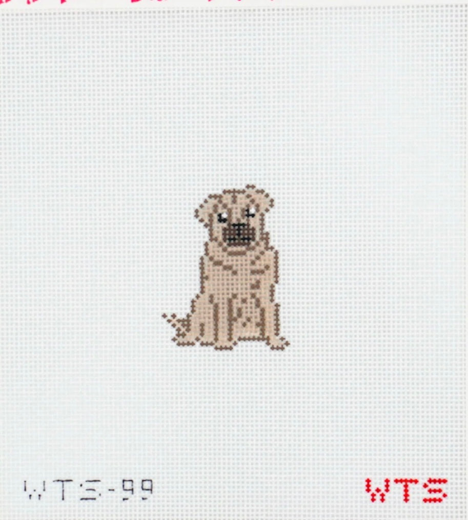 Mini Pug