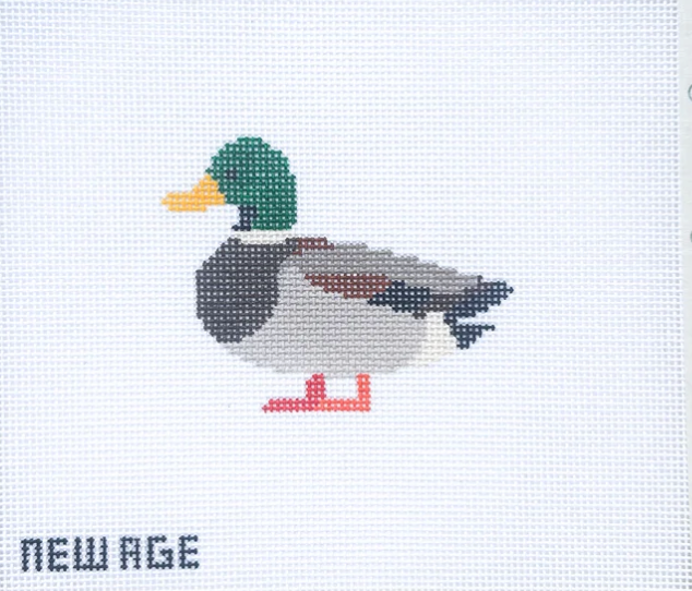 Mallard Duck Canvas
